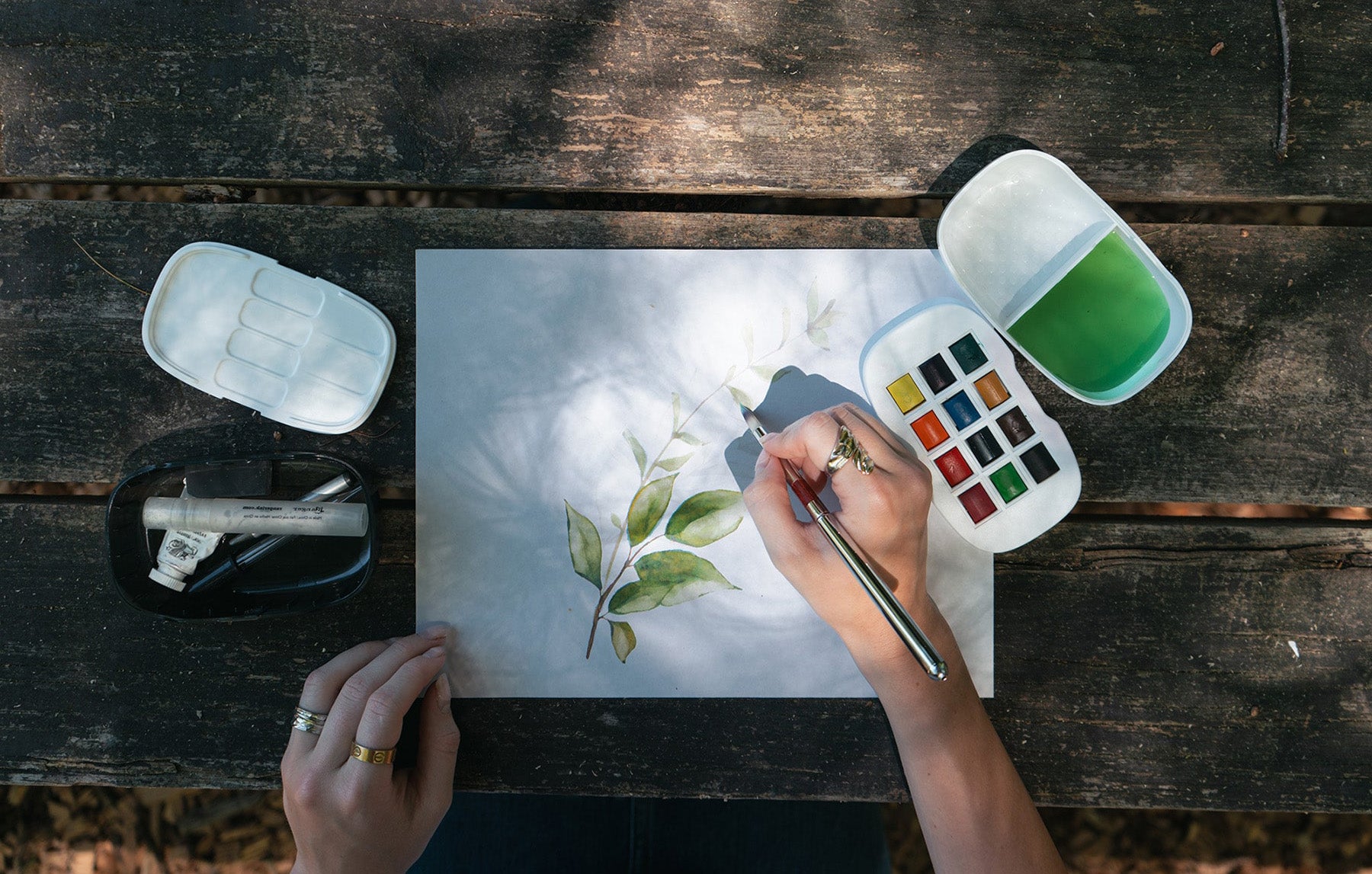 Person painting a leafy plant with watercolors using Watercolor Caddy on a wooden table.